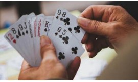 Which rummy is best in India?