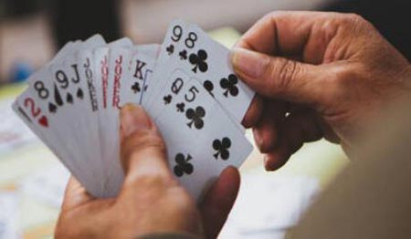 indian rummy card game